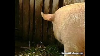 assfucked milf